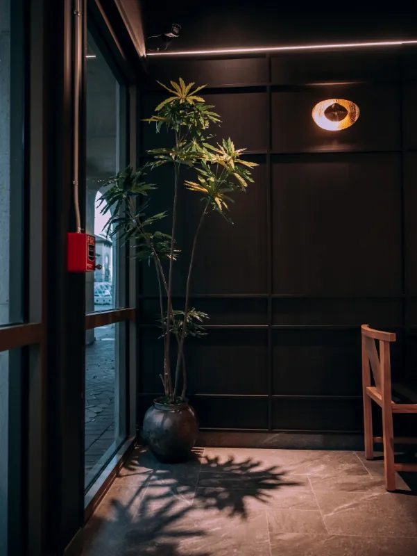 Stylish entryway with a potted plant at Kanpai Ramen, a Ramen Restaurant in New Port Richey